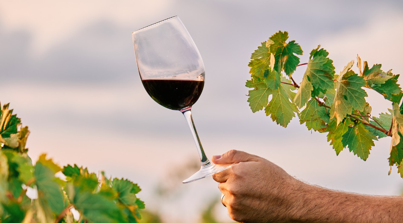 Tendências para o mundo dos vinhos para o Brasil em 2025