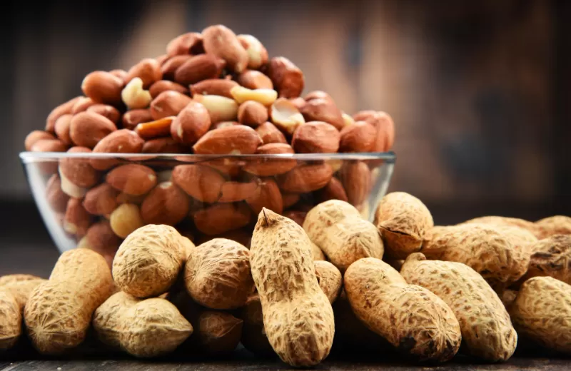 O poder do amendoim como uma alternativa nutritiva que pode superar até os ovos