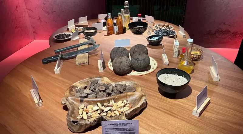 Exposição Aysú continua em cartaz em Belém e convida o público a vivenciar a Amazônia