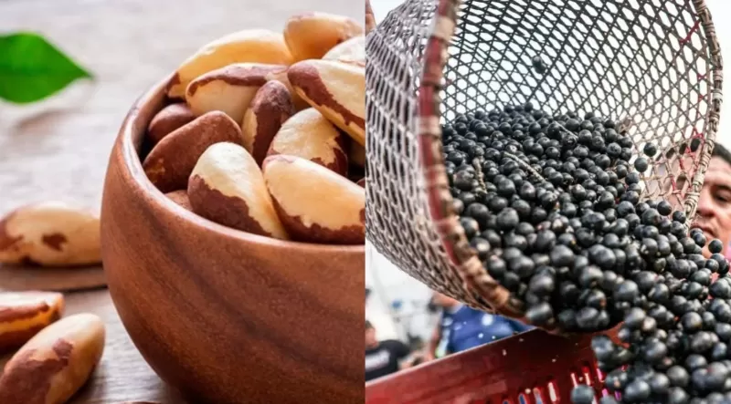 Produtos amazônicos conquistam espaço no mercado internacional