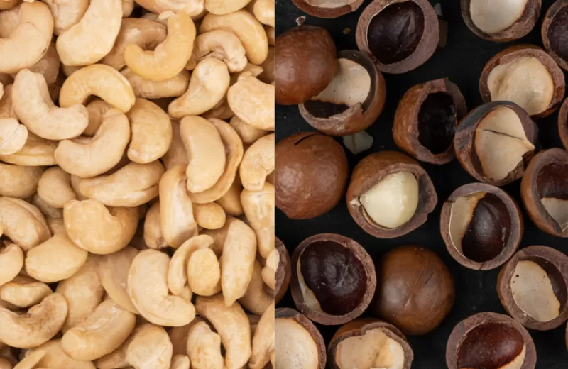 Brasil amplia exportações e abre novos mercados para carne suína e castanhas