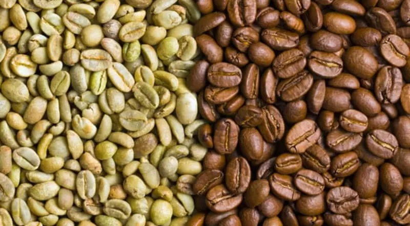Brasil exporta volume recorde de café verde descafeinado para o Japão