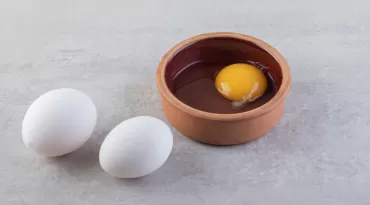 Conheça proteínas aliadas do envelhecimento saudável