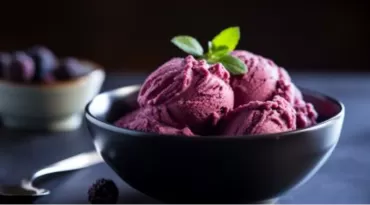 Sorvete de açaí paraense ganha destaque entre os 100 melhores do mundo