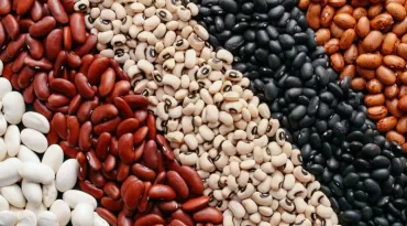 Alimentação saudável: 8 tipos de feijão para incluir na rotina