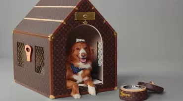 O novo luxo dos pets: saiba o que já existe no mercado de alto padrão